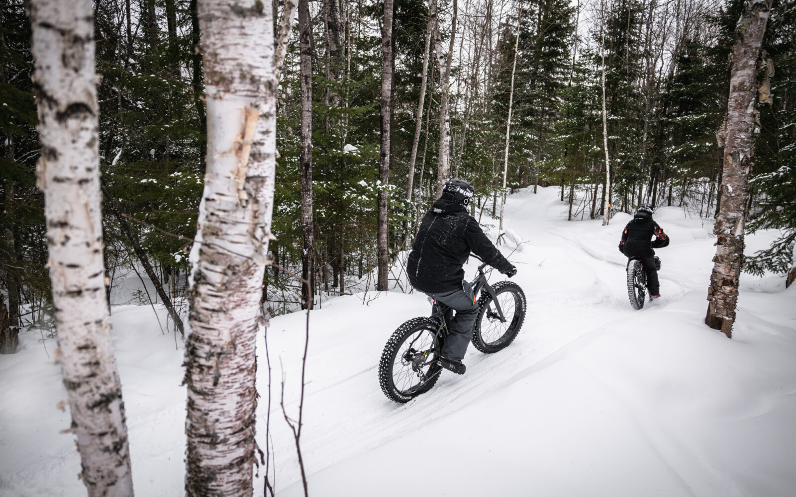 giants ridge mountain biking